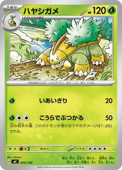 Grotle Cards - Pokémon Card Database