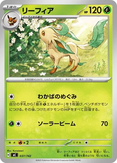 ポケモン全国図鑑カードピカチュウ　ルギア　シェイミ　グレイシア　リーフィア リーフィア カード一覧 - ポケモンカード図鑑