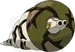 サダイジャ