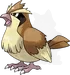 ポッポ