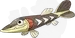 サシカマス