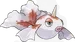 トサキント