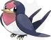 スバメ