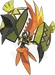 卡璞・鳴鳴