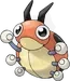 レディバ