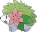 シェイミ