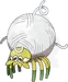 タマンチュラ