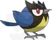 ココガラ